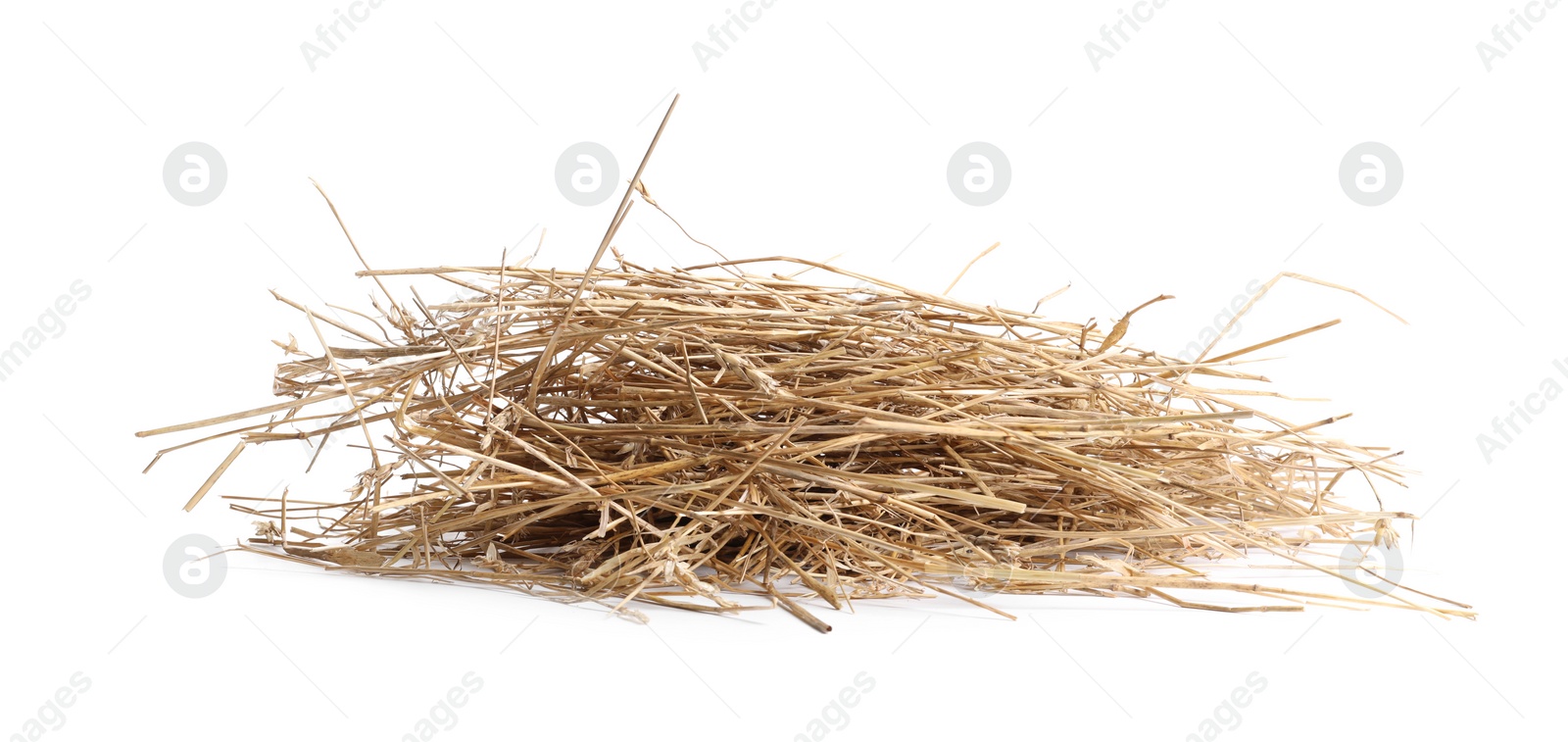 Photo of Dried straw isolated on white. Livestock feed