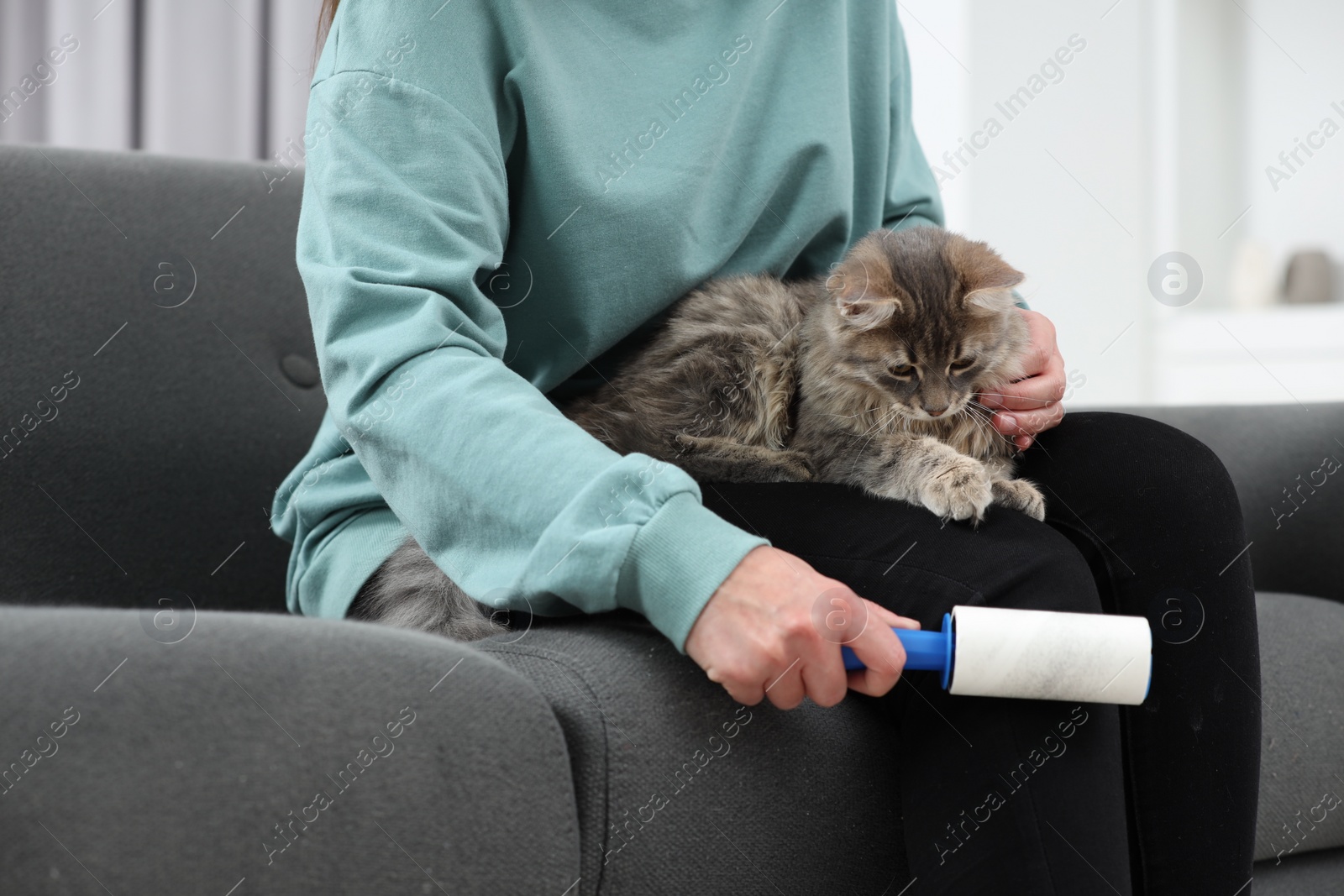 Photo of Pet shedding. Woman with lint roller removing cat`s hair from trousers on sofa at home, closeup