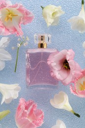 Photo of Luxury perfume and floral decor on light blue plastic surface, flat lay