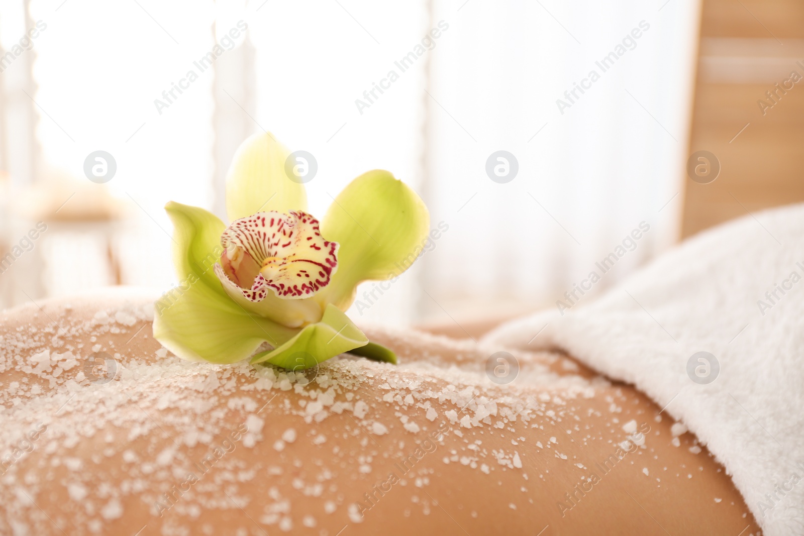 Photo of Young woman having body scrubbing procedure with sea salt in spa salon, closeup