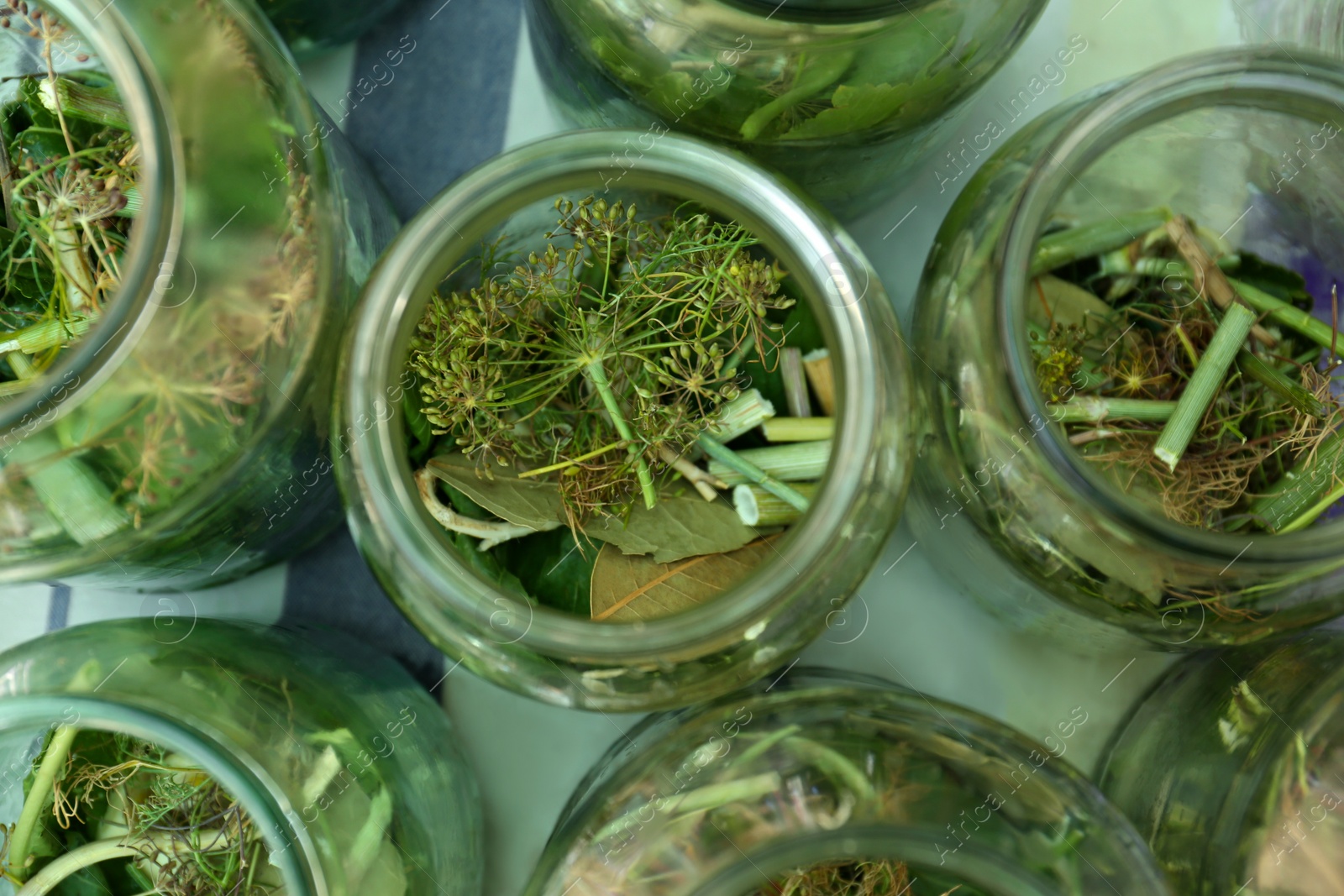 Photo of Glass jars with different herbs on table, flat lay. Pickling vegetables