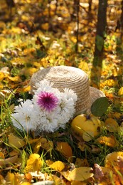 Photo of Beautiful flowers, straw hat and quince outdoors on sunny day