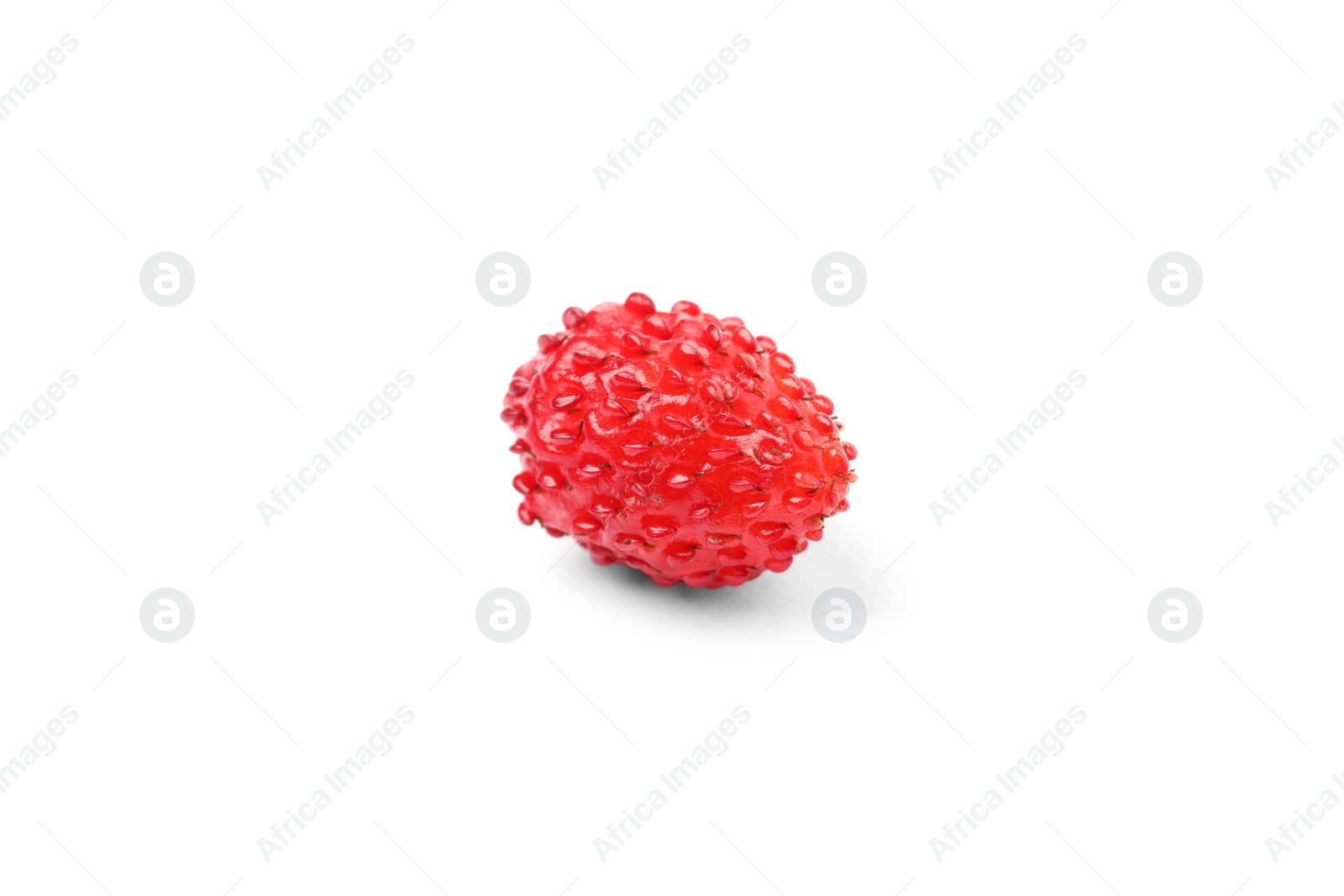 Photo of One ripe wild strawberry isolated on white