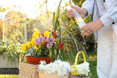 Photo of Woman spraying many different potted flowers with water in garden, closeup