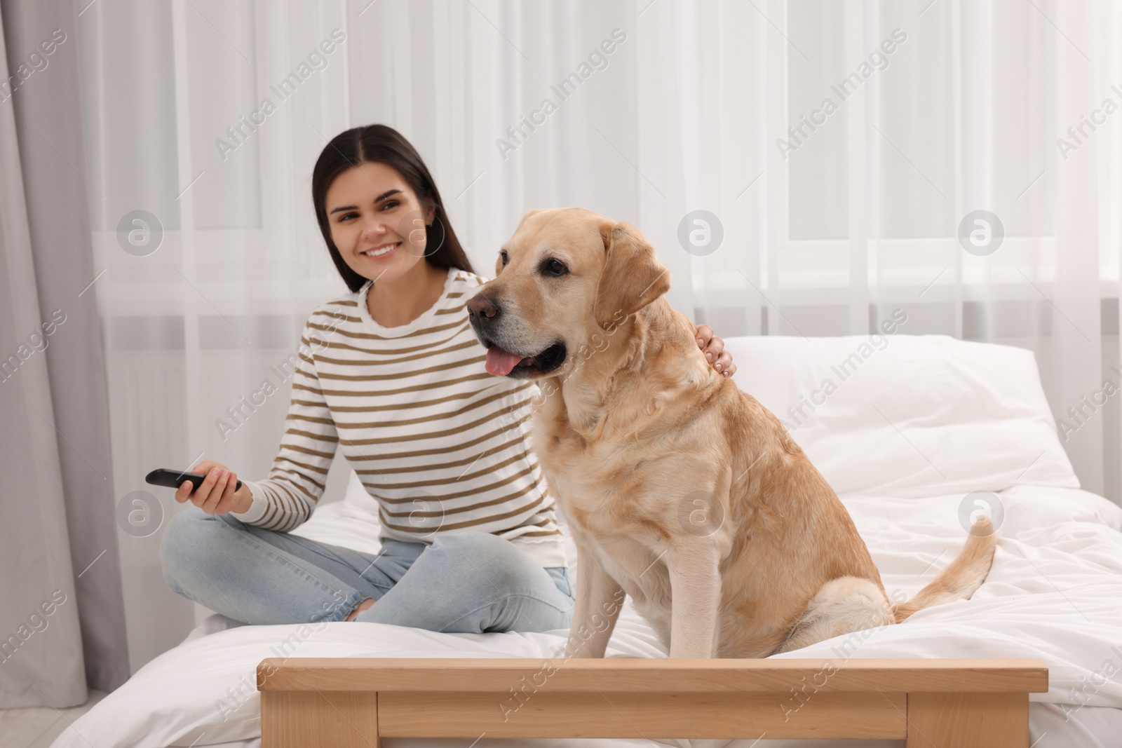 Photo of Happy woman with cute Labrador Retriever on bed at home