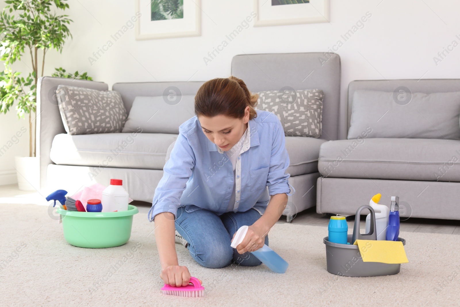 Photo of Woman cleaning carpet with brush at home