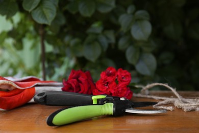 Secateurs, gardening gloves and flowers on wooden table outdoors. Space for text