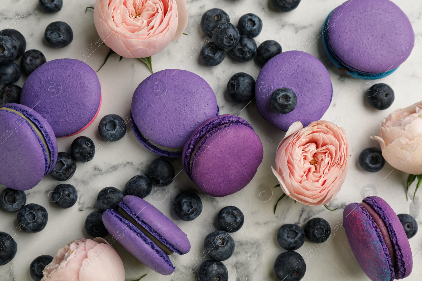 Photo of Delicious macarons, blueberries and flowers on white marble table, flat lay