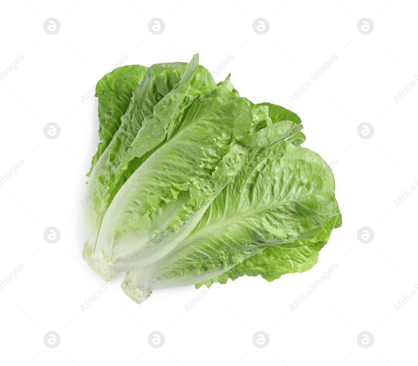 Photo of Fresh green romaine lettuces isolated on white, top view