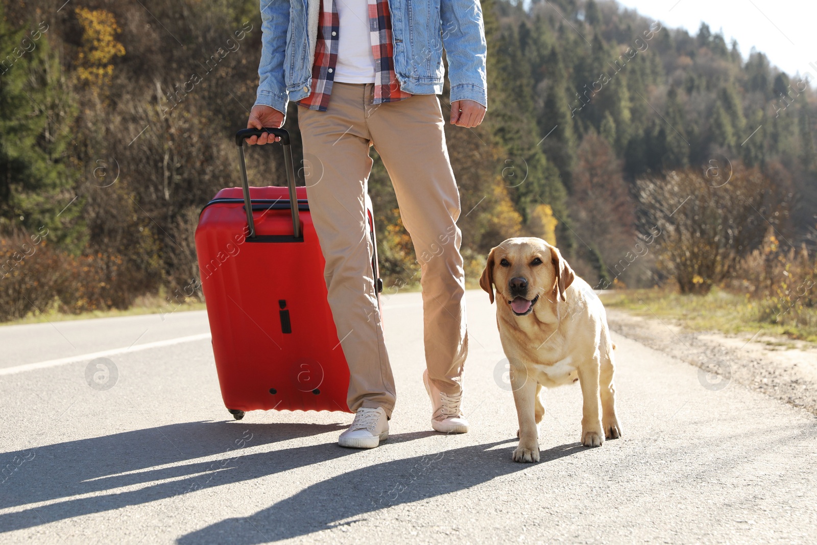 Photo of Man with red suitcase and adorable dog walking along road, closeup. Traveling with pet