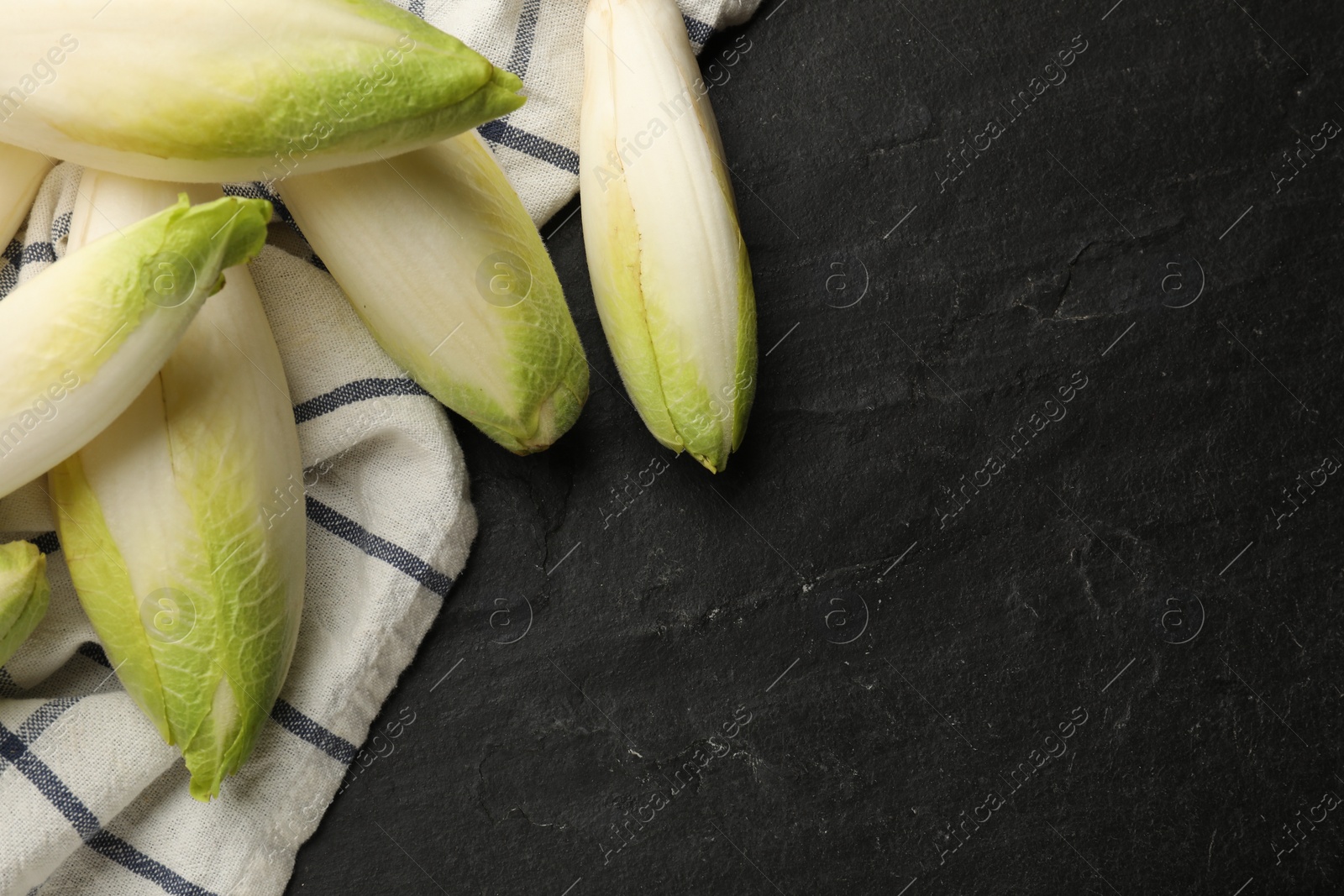 Photo of Fresh raw Belgian endives (chicory) on black table, top view. Space for text