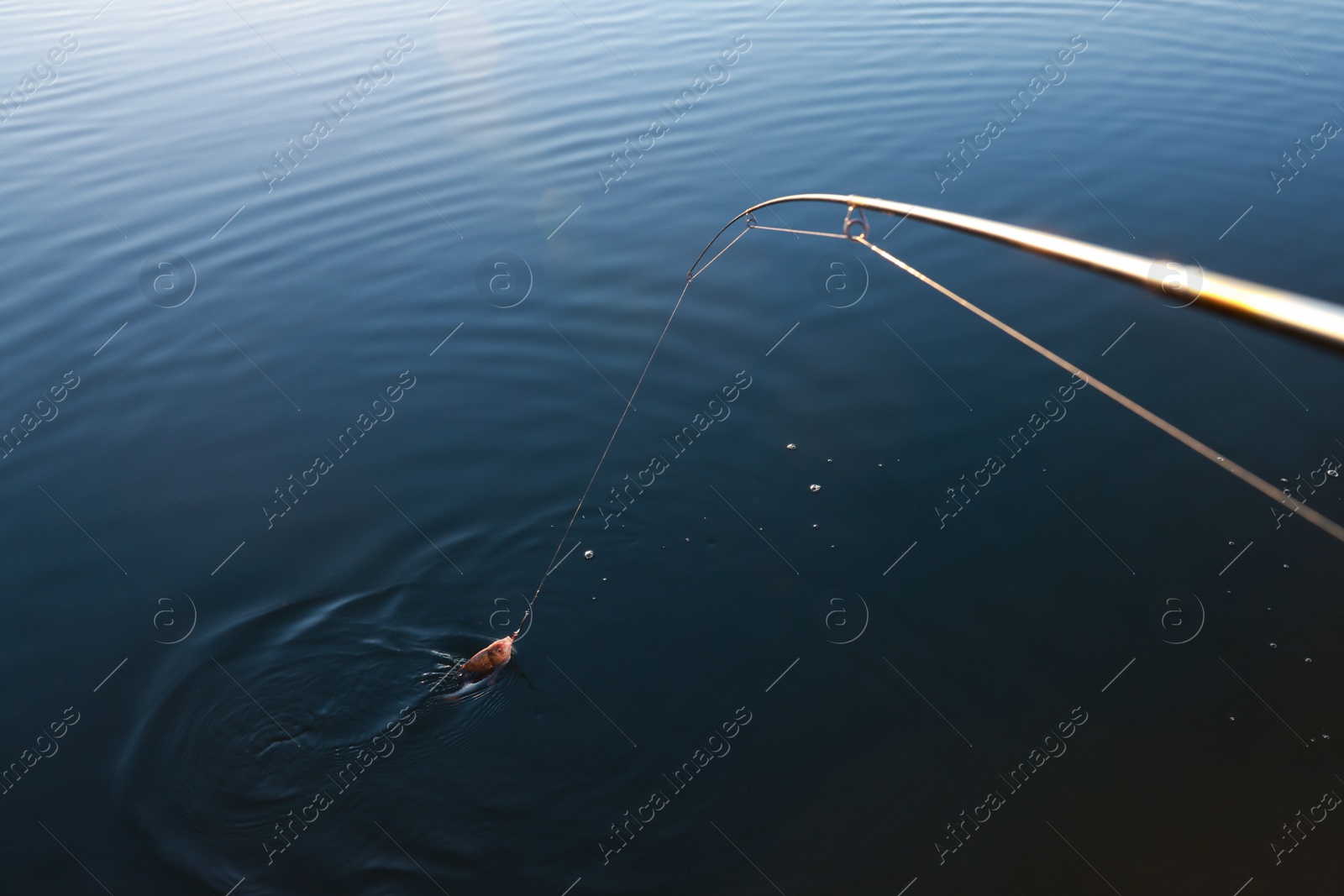 Photo of Fishing rod with catch at riverside on sunny day