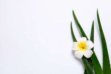 Photo of Fresh aloe vera leaves and plumeria flower on white background, flat lay. Space for text