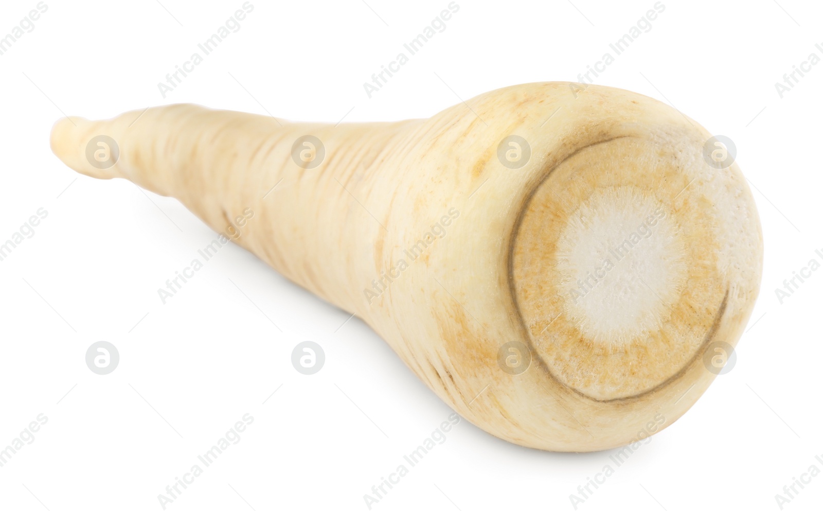 Photo of Tasty fresh ripe parsnip isolated on white