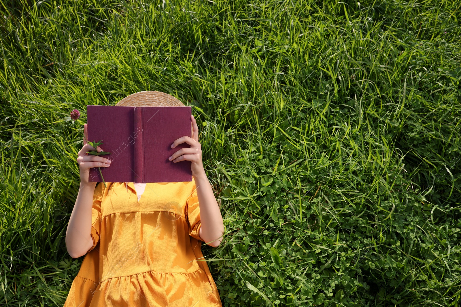 Photo of Woman reading book on green meadow, above view