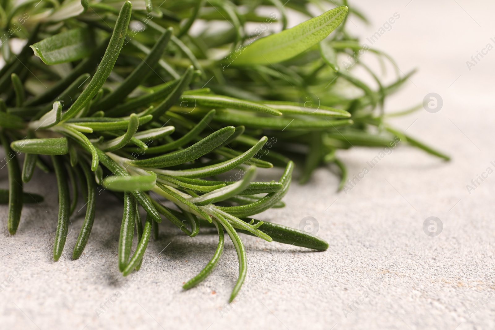 Photo of Fresh rosemary on light textured table, closeup