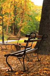 Photo of Wooden benches and fallen leaves in park on autumn day