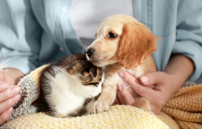 Photo of Owner with adorable little kitten and puppy, closeup