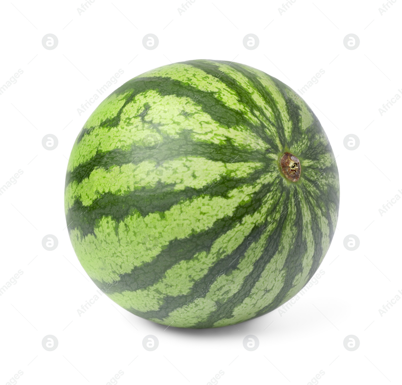 Photo of One whole ripe watermelon isolated on white