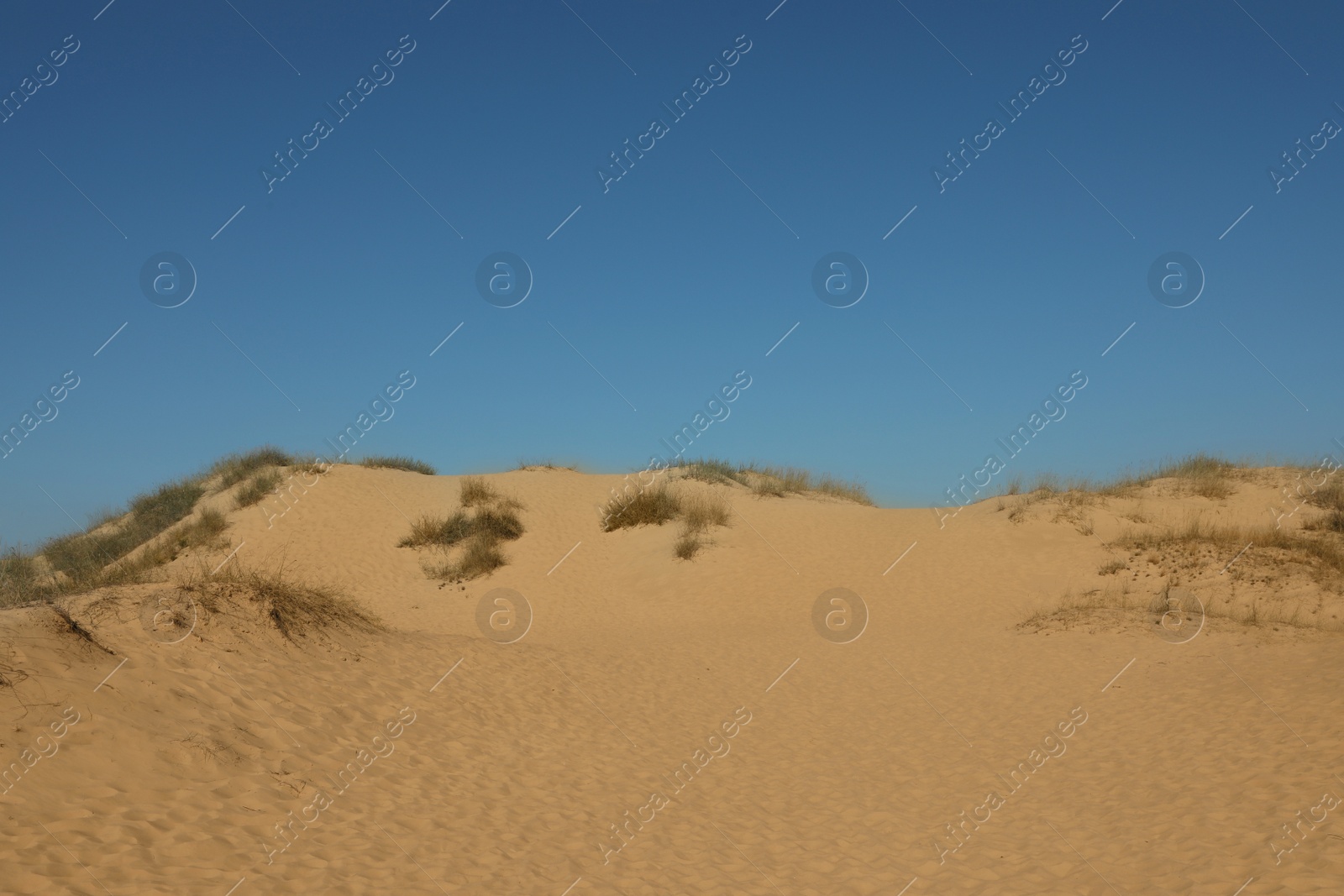 Photo of Picturesque view of desert on sunny day