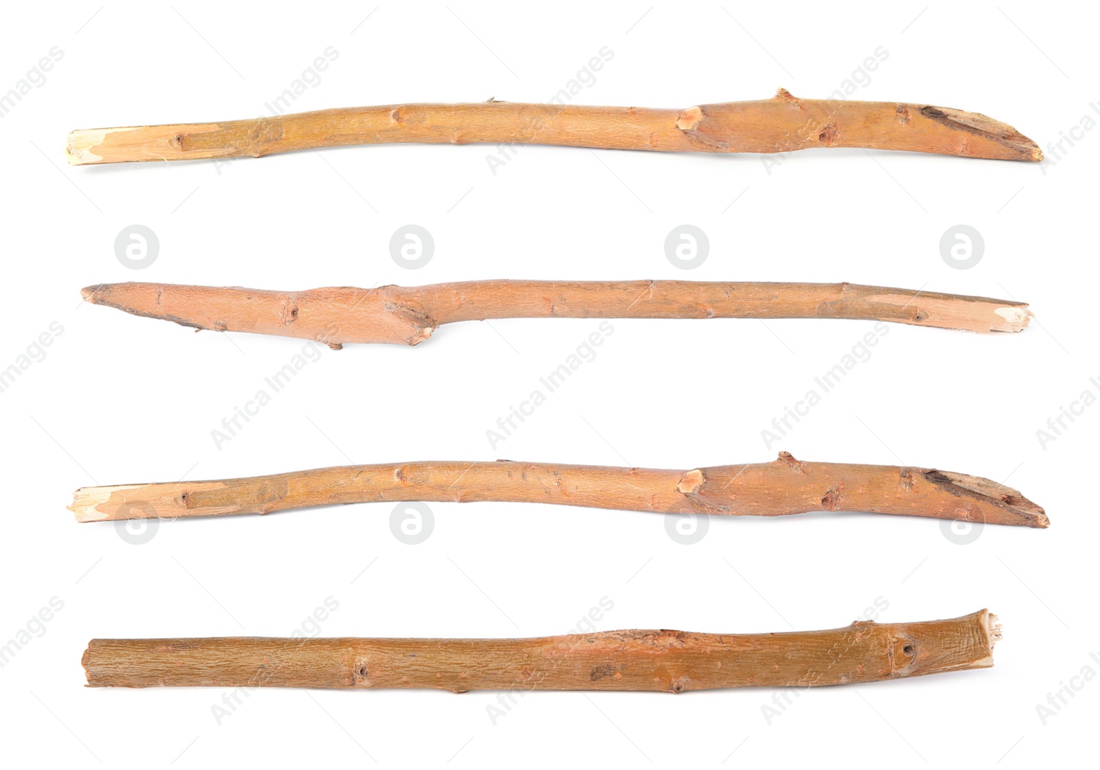 Image of Collage with dry tree twigs on white background, top view