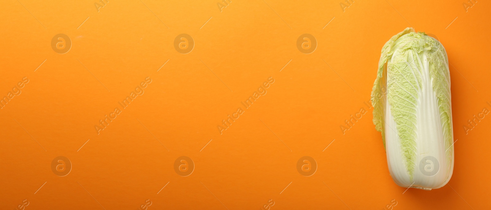 Image of Fresh ripe Chinese cabbage on orange background, top view. Banner design with space for text