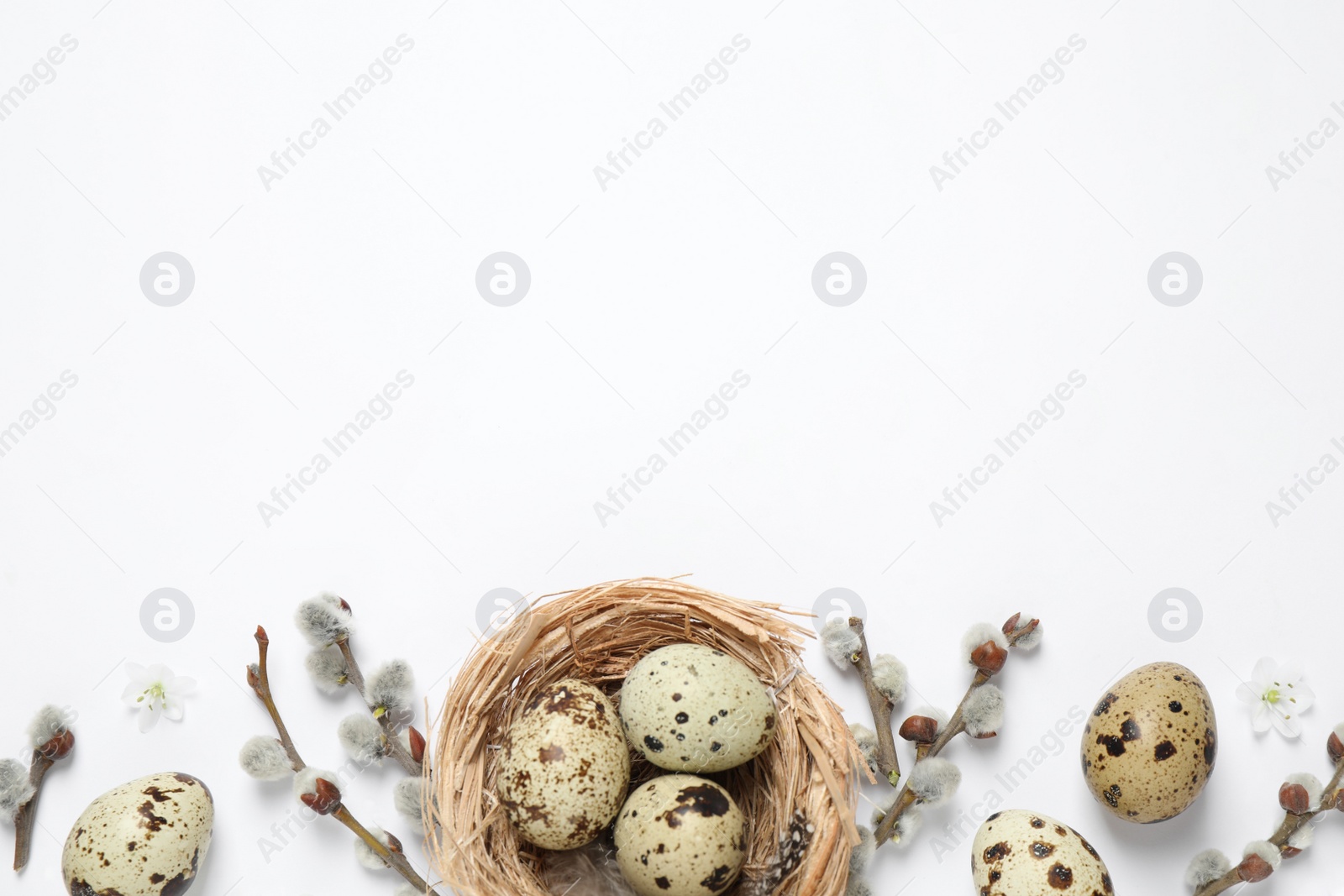 Photo of Flat lay composition with quail eggs on white background, space for text. Easter celebration