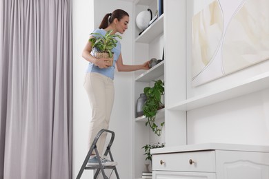 Photo of Woman on ladder with houseplant near shelves at home