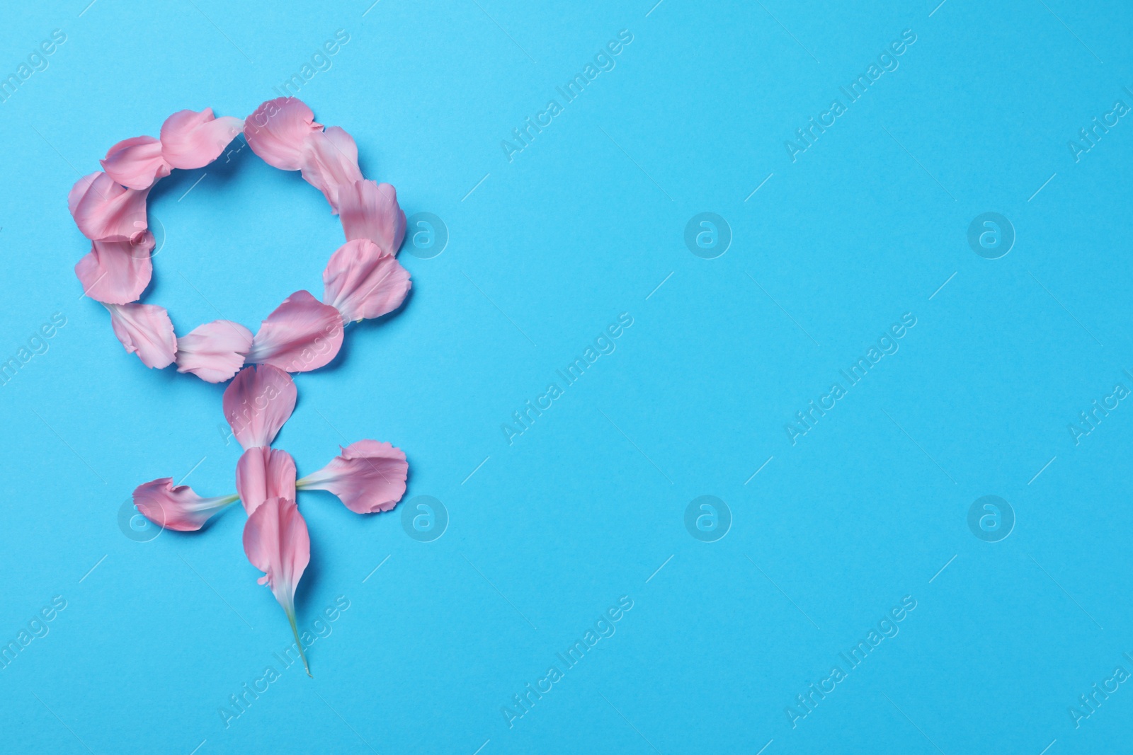 Photo of Female gender sign made of petals on light blue background, top view and space for text. Women's health concept