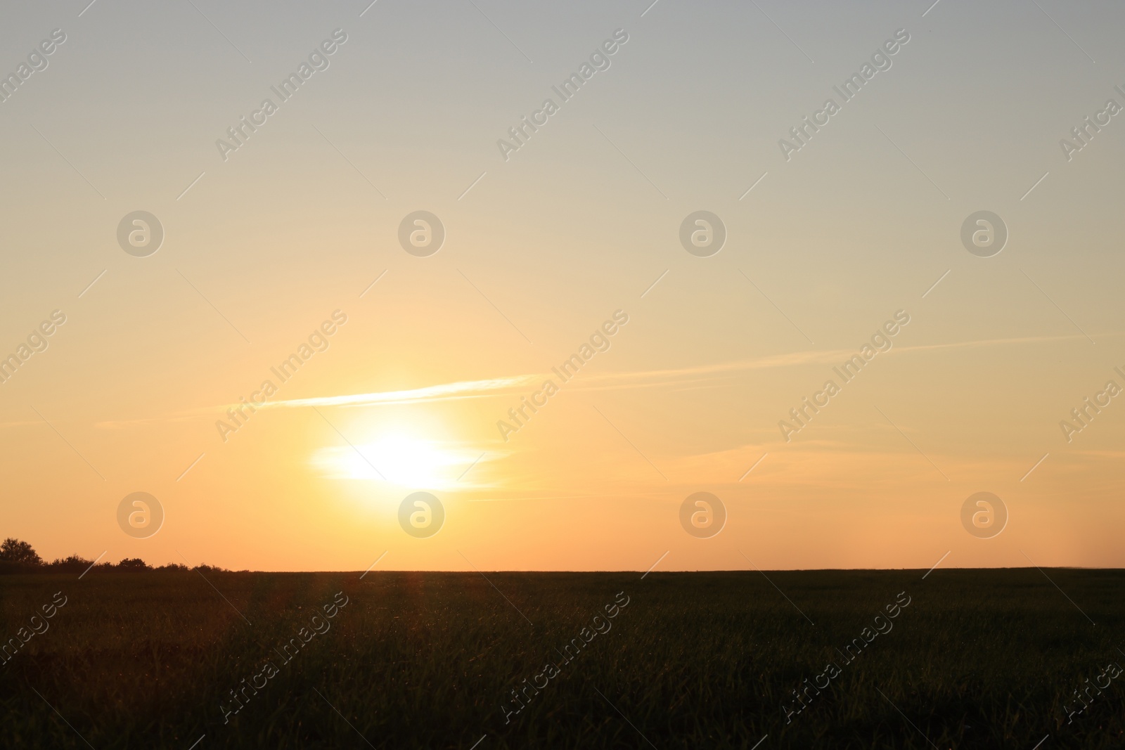 Photo of Picturesque view of beautiful countryside field at sunset