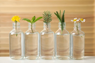 Glass bottles of different essential oils with plants on table