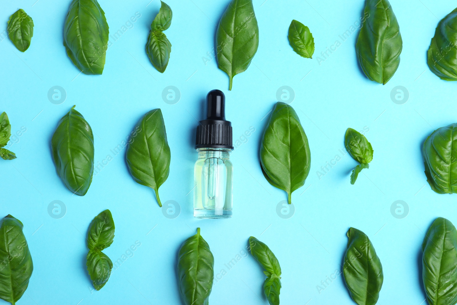 Photo of Flat lay composition with basil essential oil on light blue background
