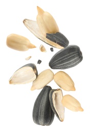 Image of Sunflower seeds with hull flying on white background
