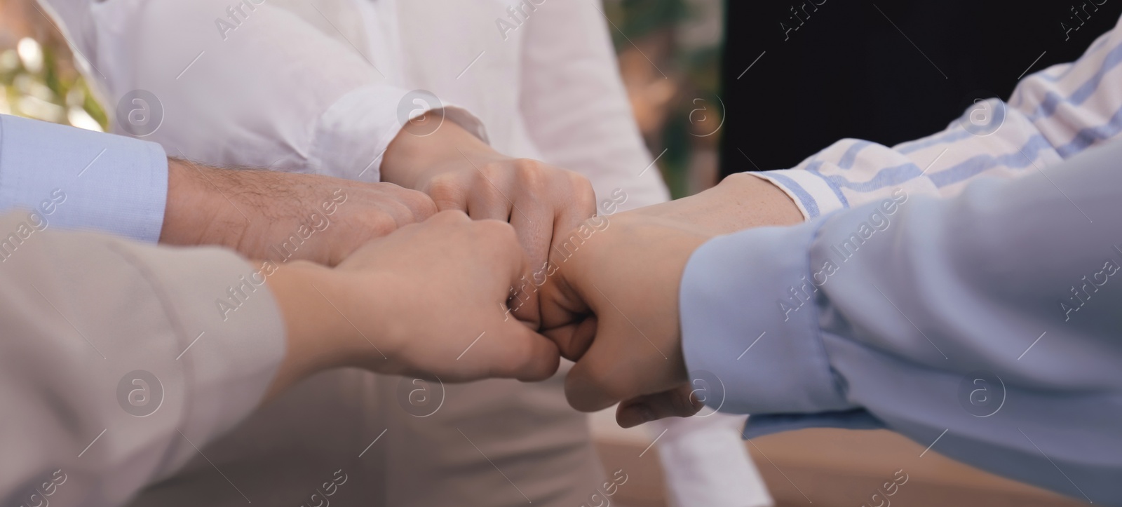 Image of Business partners. Group of people holding fists together in office, closeup. Banner design