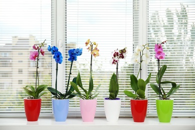 Photo of Beautiful tropical orchid flowers in pots on windowsill