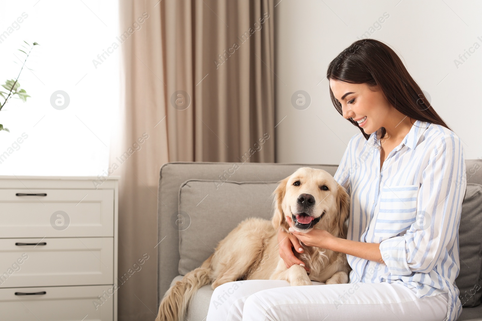 Photo of Young woman and her Golden Retriever dog in living room. Space for text