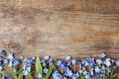 Beautiful forget-me-not flowers and space for text on wooden background, flat lay