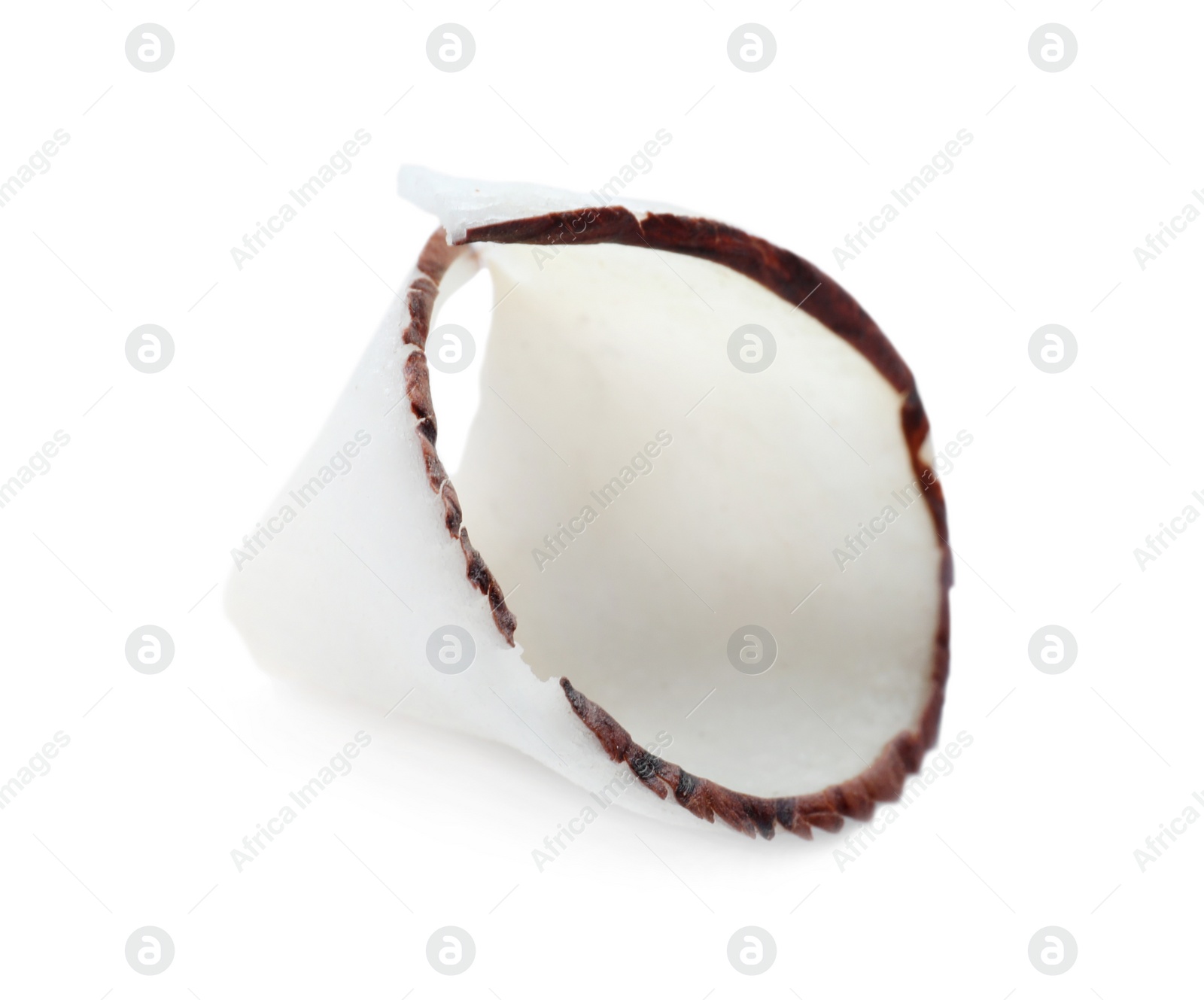 Photo of Tasty fresh coconut flake isolated on white