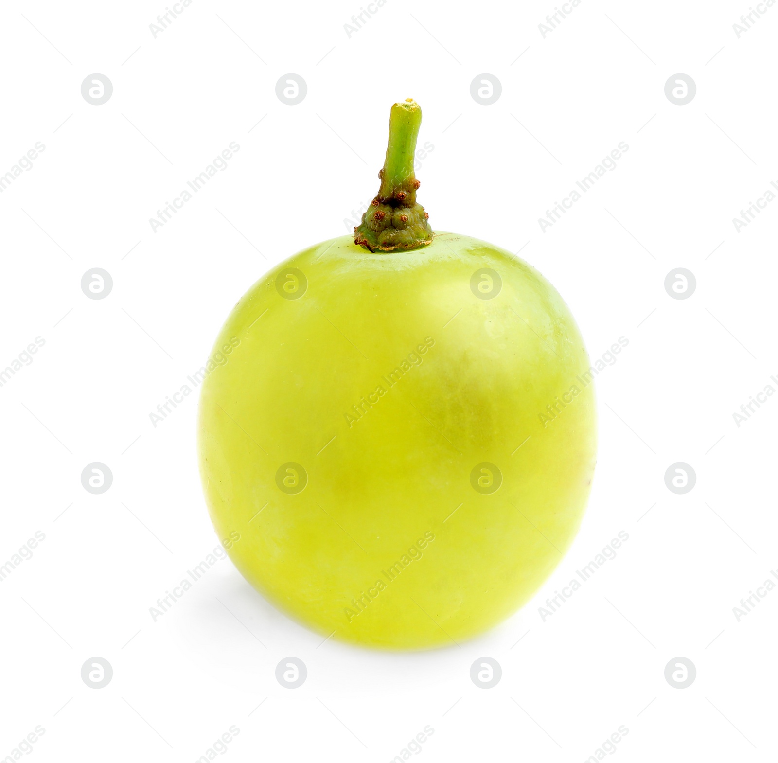Photo of Fresh ripe juicy grape isolated on white
