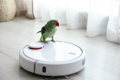Modern robotic vacuum cleaner and Alexandrine parakeet on floor indoors