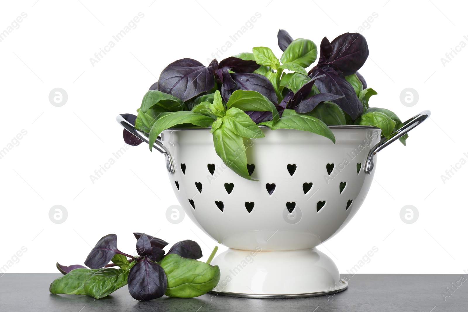 Photo of Colander with fresh basil leaves on grey table against white background