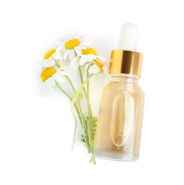 Bottle of essential oil and chamomiles isolated on white, top view