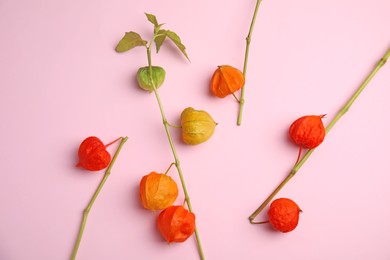 Photo of Physalis branches with colorful sepals on pink background, flat lay