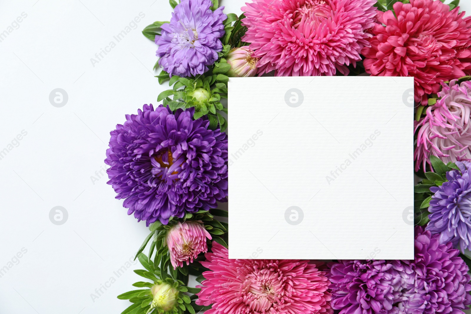 Photo of Beautiful aster flowers with sheet of paper on white background, top view. Space for text