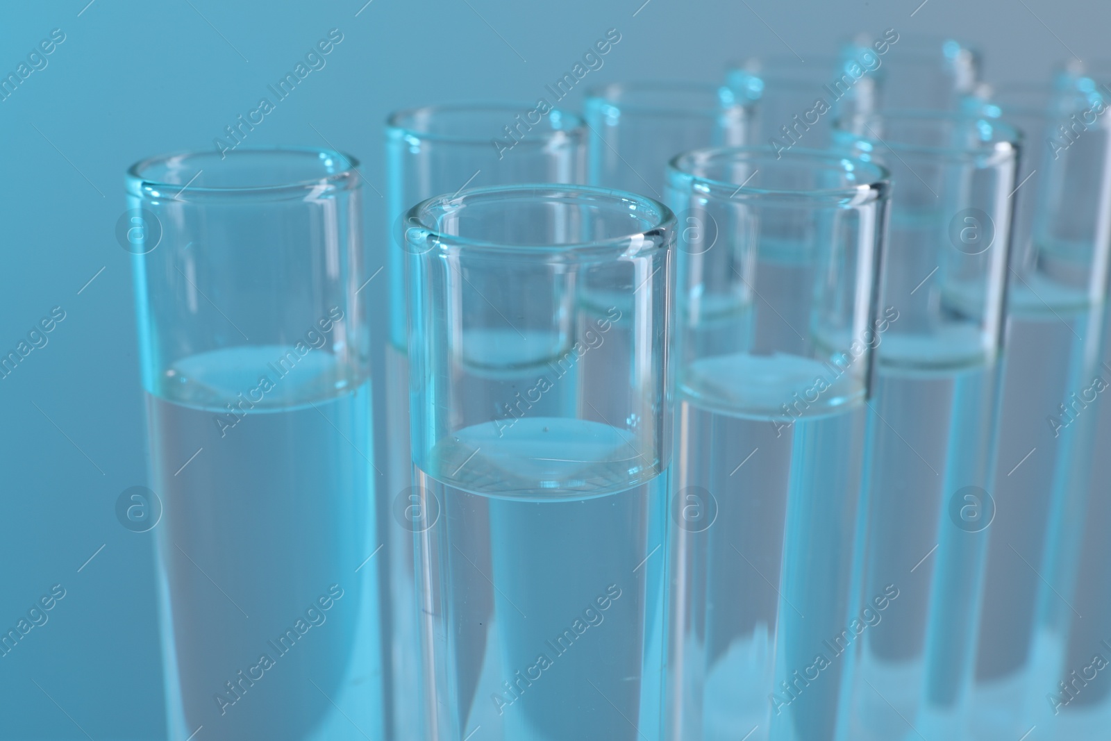 Photo of Laboratory analysis. Many glass test tubes on light blue background, closeup