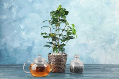 Photo of Jar with dry tea, small shrub and glass pot of hot beverage on table