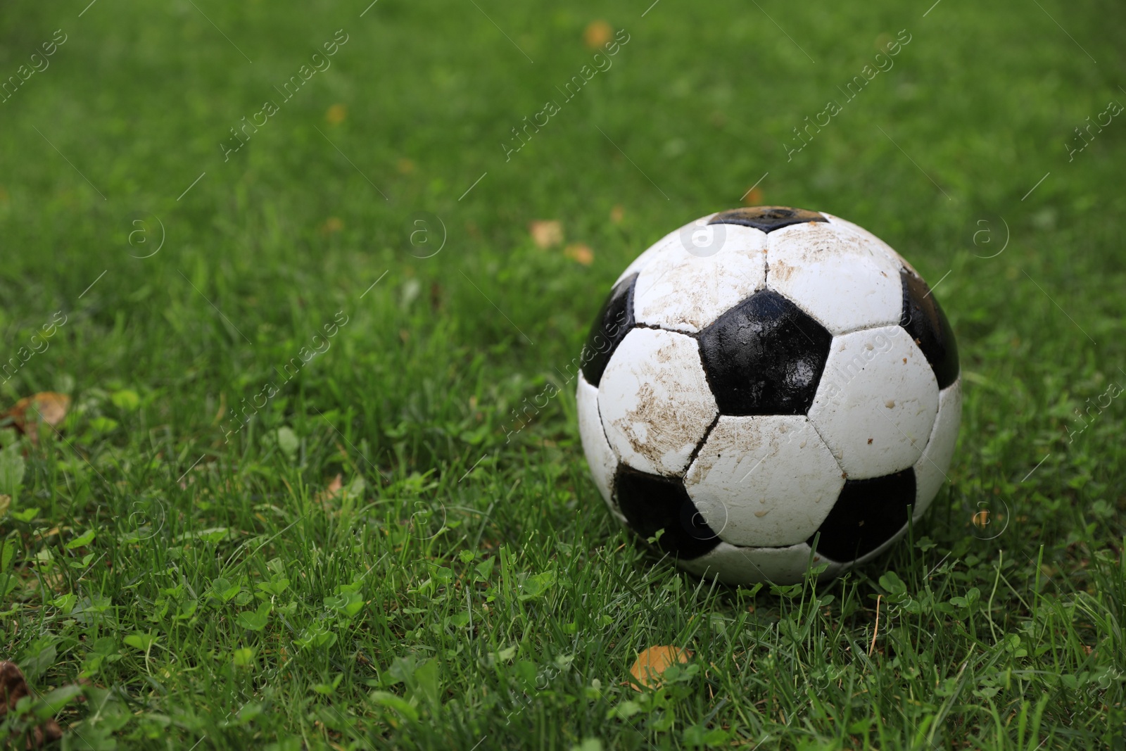 Photo of Dirty soccer ball on green grass outdoors, space for text