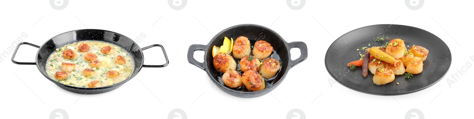 Image of Set of different dishes with scallops isolated on white