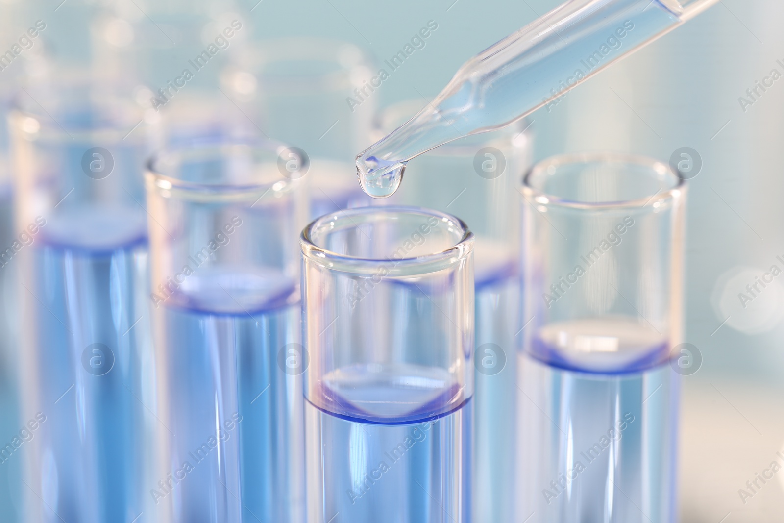 Photo of Laboratory analysis. Dripping light blue liquid from pipette into glass test tube on blurred background, closeup