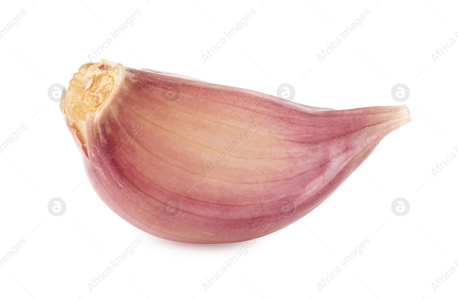 Photo of One clove of garlic isolated on white